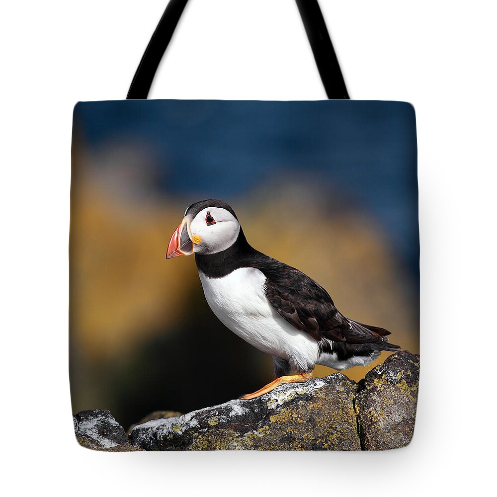 Animal Tote Bag featuring the photograph Puffin by Grant Glendinning