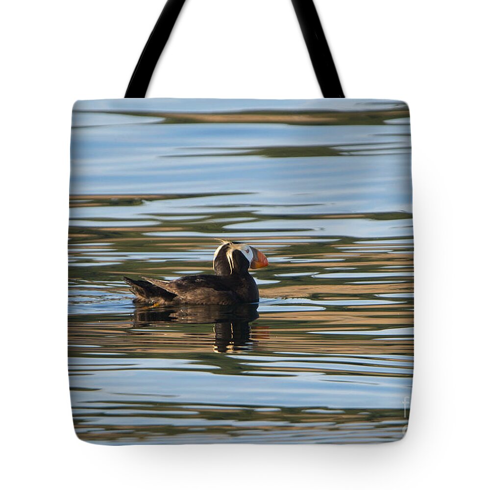 Tufted Puffin Tote Bag featuring the photograph Puffin Reflected by Michael Dawson