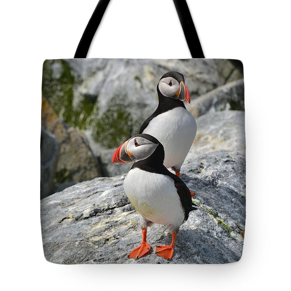 Puffins Tote Bag featuring the photograph Puffins by Steve Brown