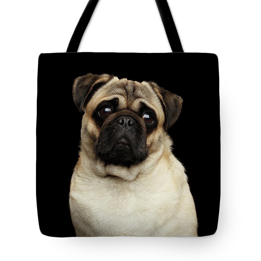 Portrait Tote Bag featuring the photograph Pug by Sergey Taran