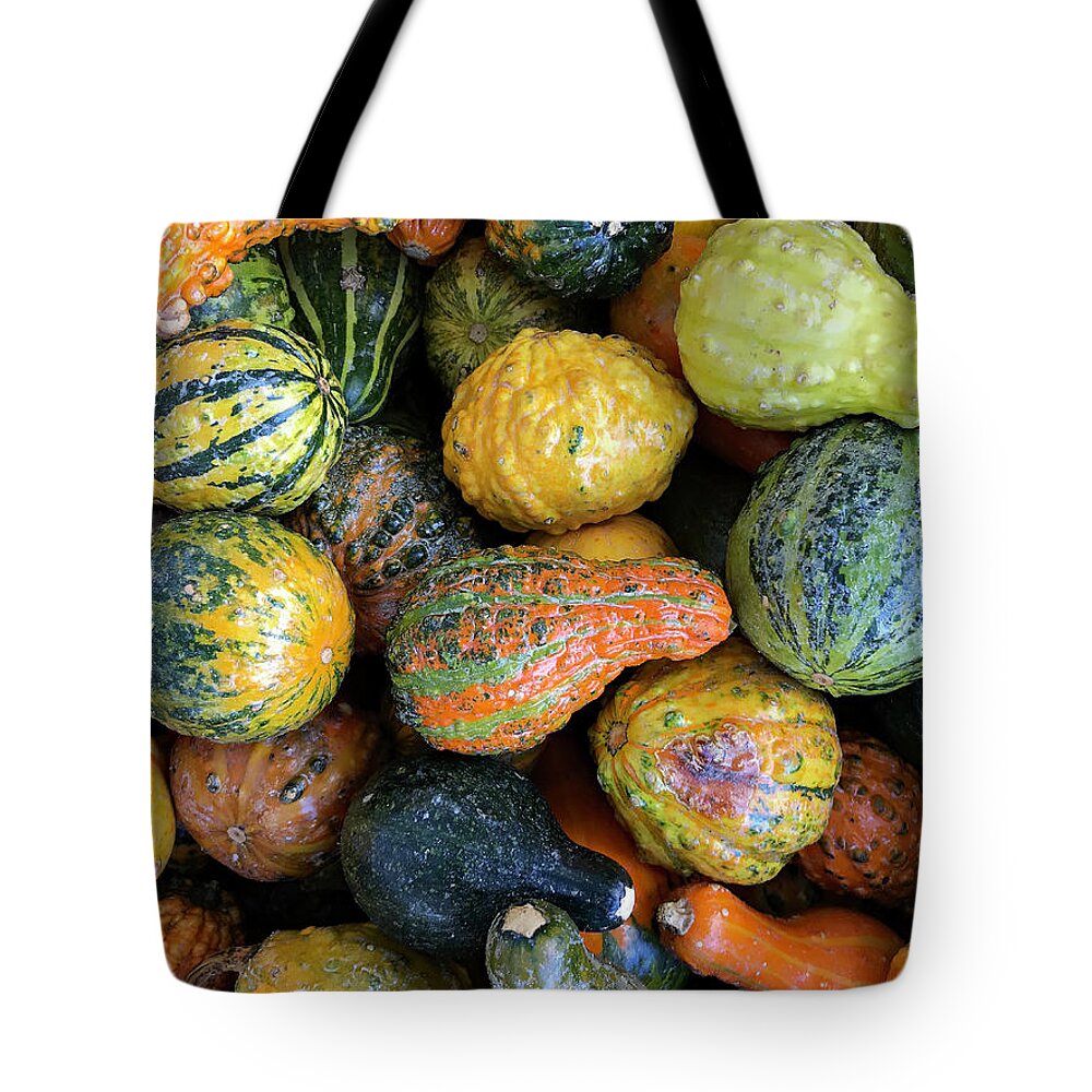 10.30.17_a Img O740 Ch Tote Bag featuring the photograph Pumpinnkins by Dorin Adrian Berbier