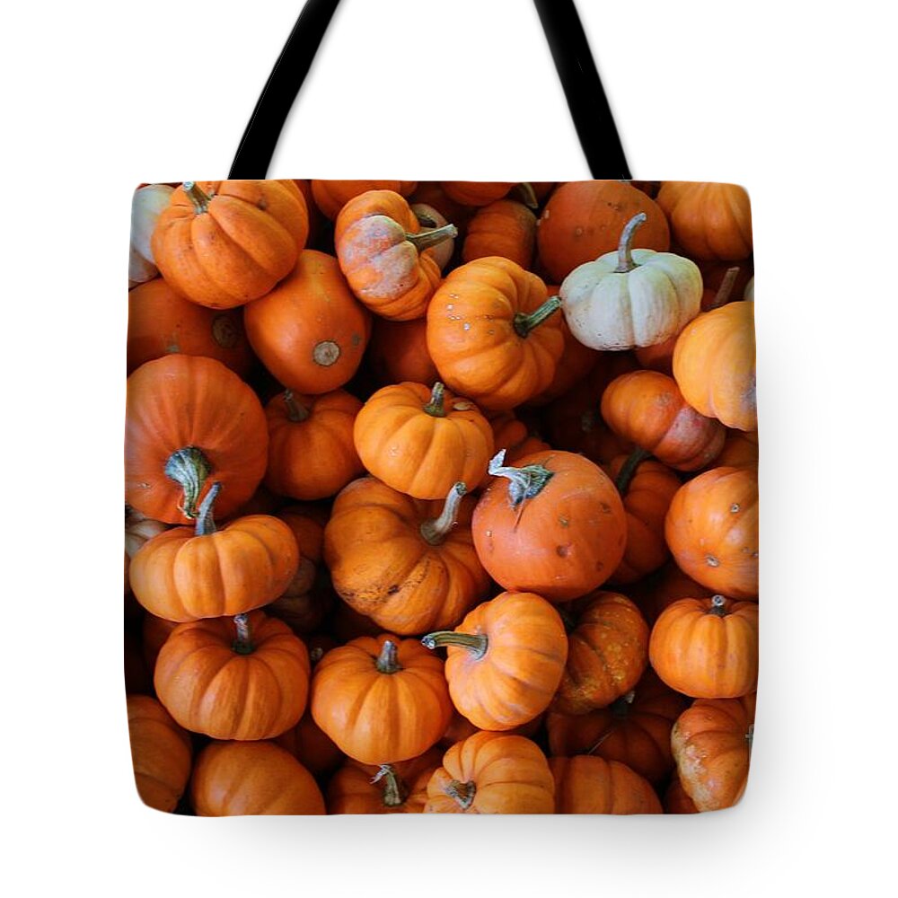 Autumn Tote Bag featuring the photograph Pumpkin Babies by Robert Wilder Jr