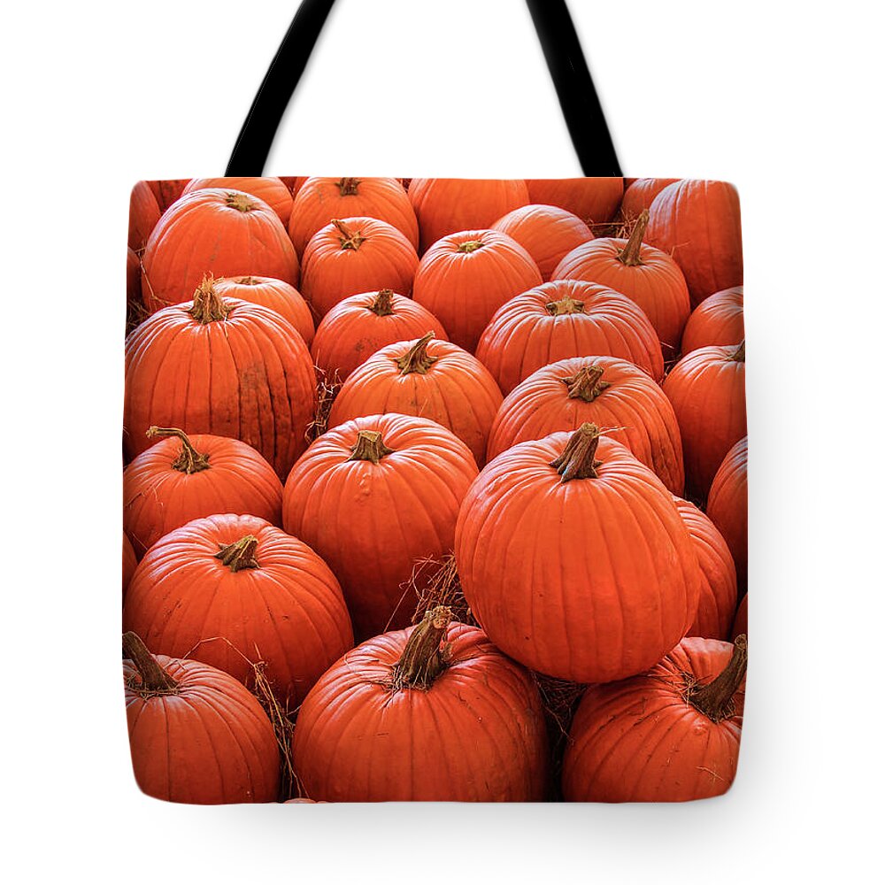 Autumn Tote Bag featuring the photograph Pumpkin Patch by Robert Wilder Jr
