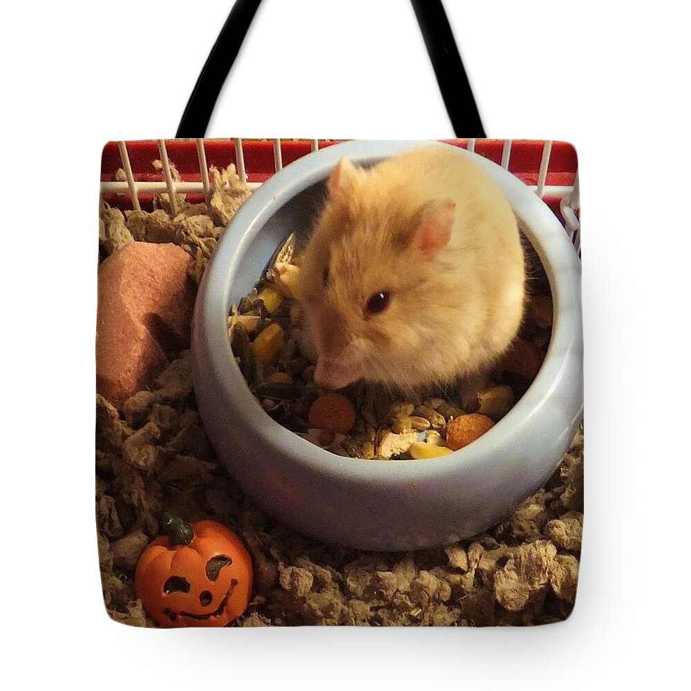 Hamster Tote Bag featuring the photograph Pumpkin With Pumpkin by Denise F Fulmer