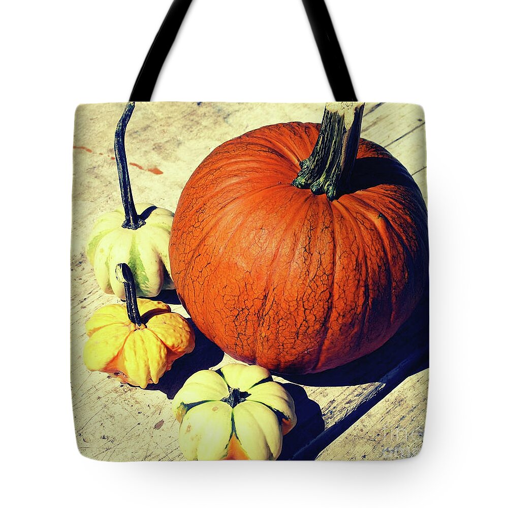 Pumpkins Tote Bag featuring the photograph Pumpkin and Squash by Onedayoneimage Photography
