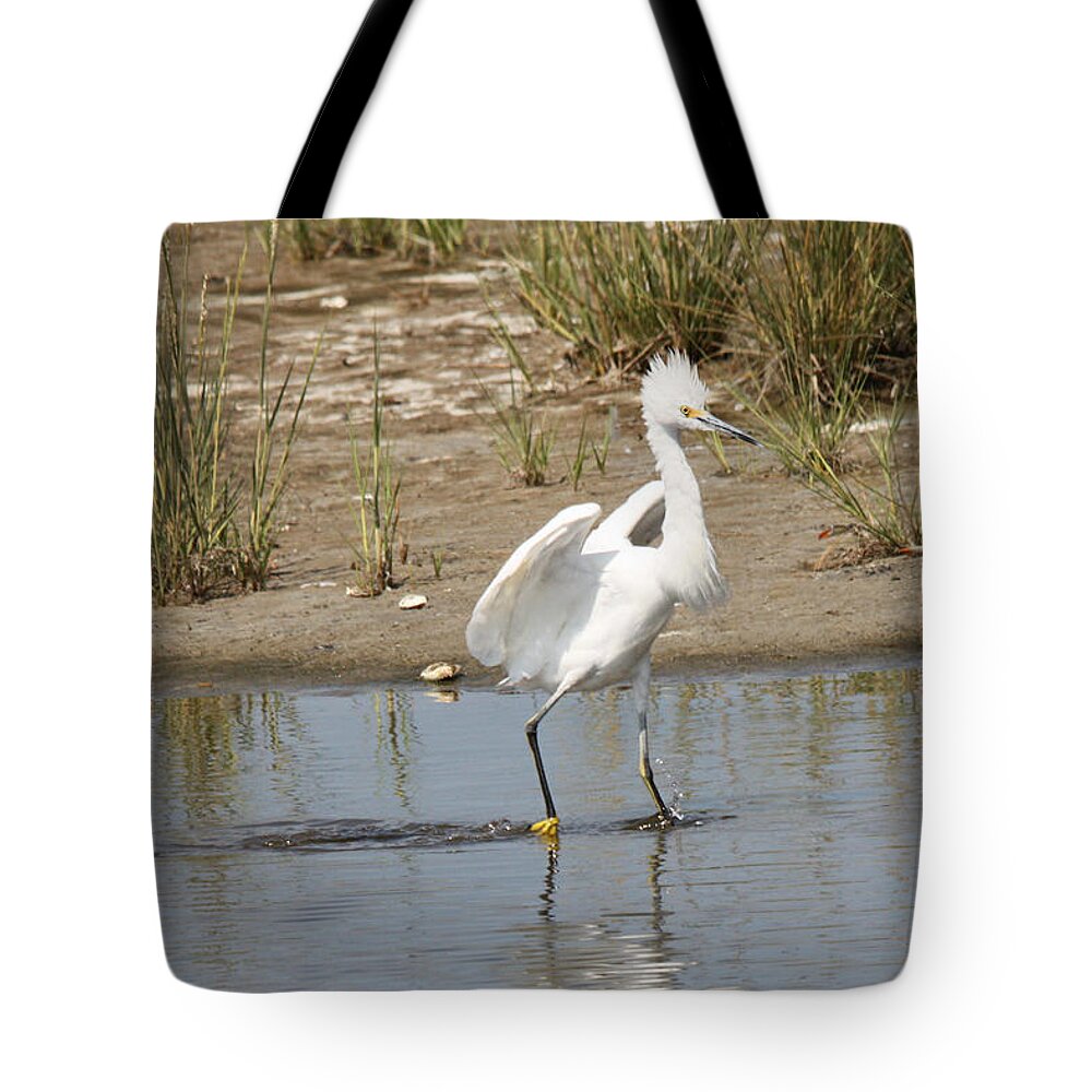 Snowy Egret Tote Bag featuring the photograph Punky Snowy by Captain Debbie Ritter