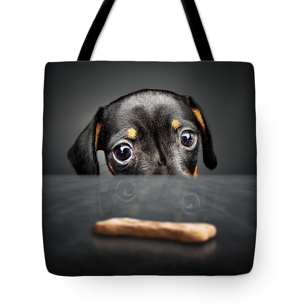 Puppy Tote Bag featuring the photograph Puppy longing for a treat by Johan Swanepoel