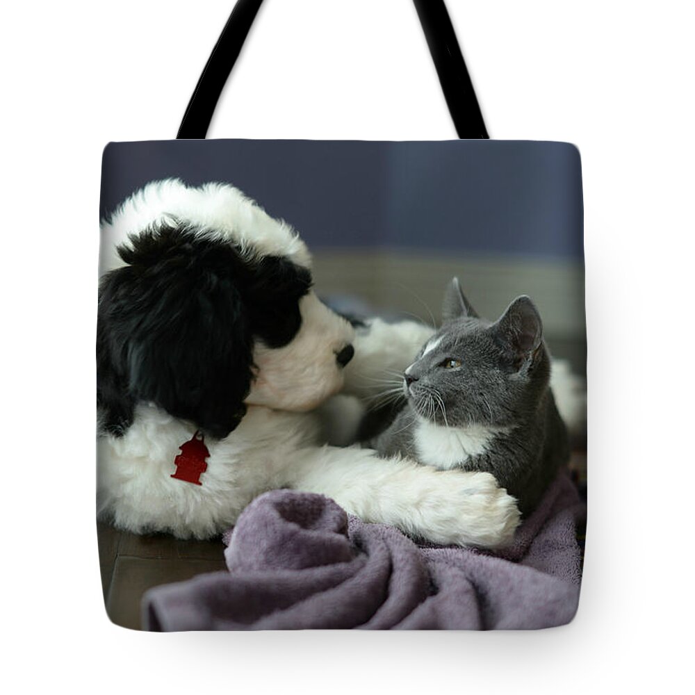 Puppy Love Tote Bag featuring the photograph Puppy Love by Linda Mishler