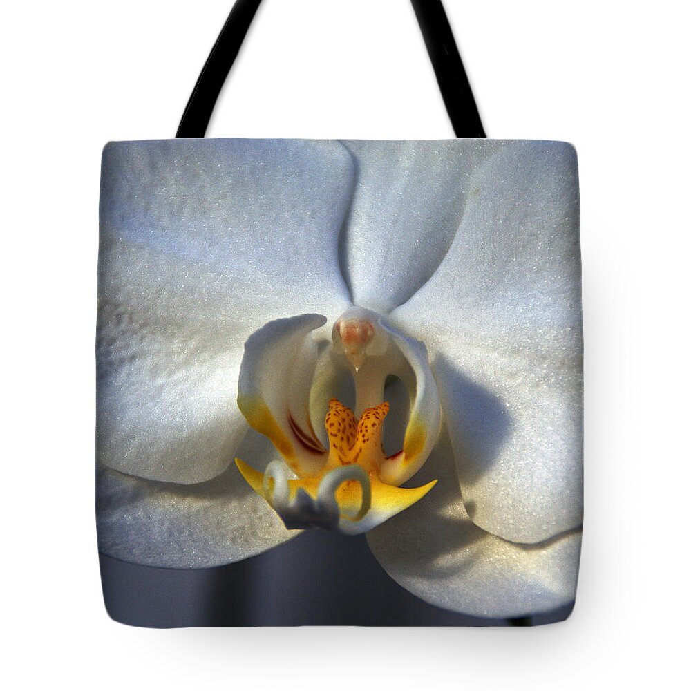 Orchid Tote Bag featuring the photograph Pure Form and Color by Lynda Lehmann