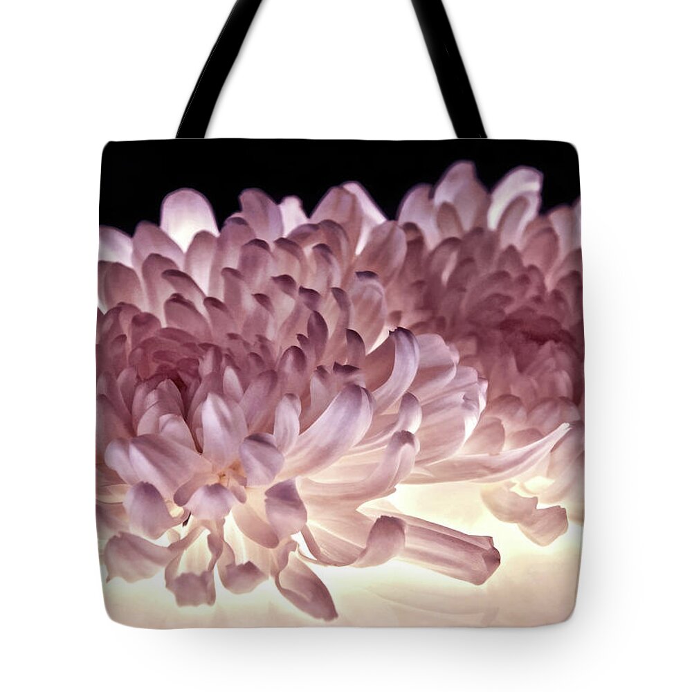 Mums Tote Bag featuring the photograph Purely Petals by Leda Robertson