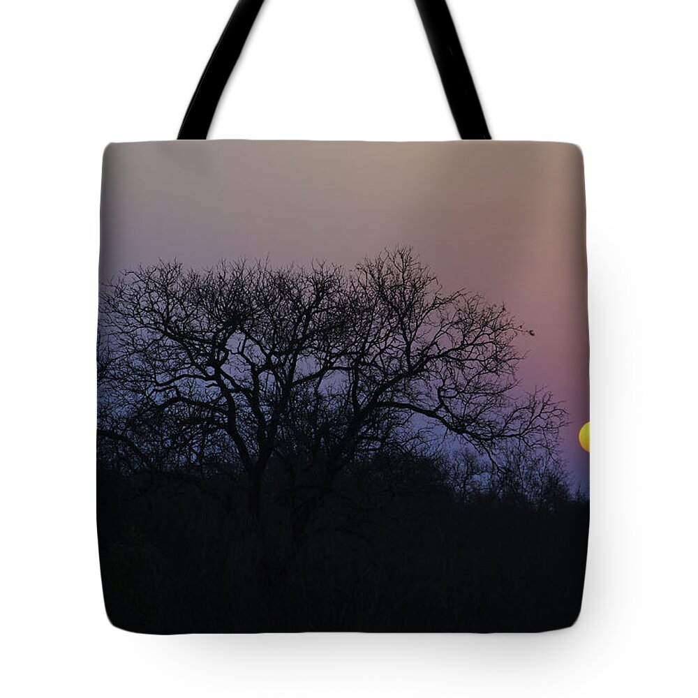 Kruger National Park Tote Bag featuring the photograph Purple African Sky by Brian Kamprath