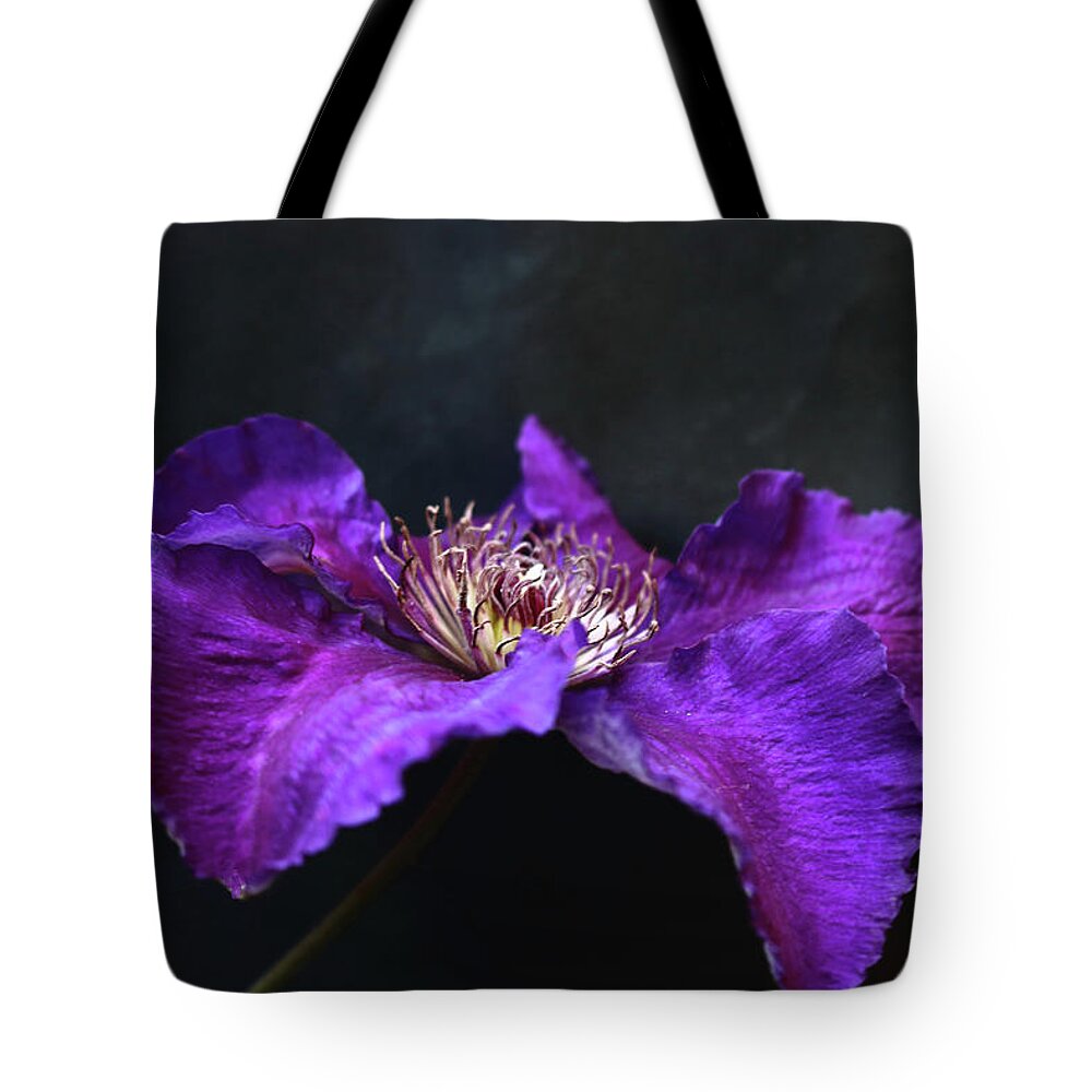 Flower Tote Bag featuring the photograph Purple and Blue Clematis by Jeff Townsend