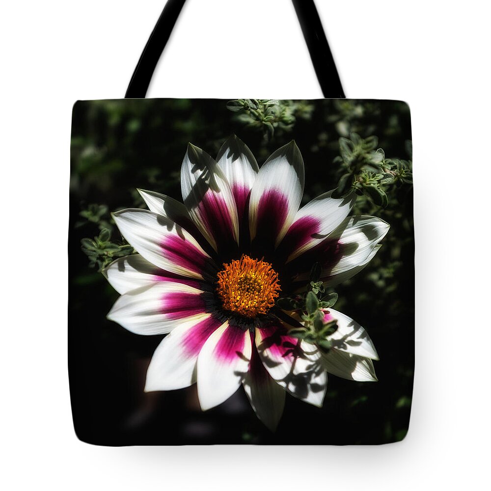 Flower Tote Bag featuring the photograph Purple and Orange Glow by Ron White
