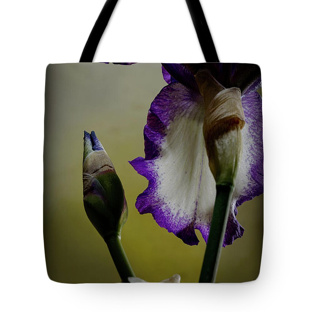 Purple And White Iris Tote Bag featuring the photograph Purple and White Iris Flower by Art Whitton