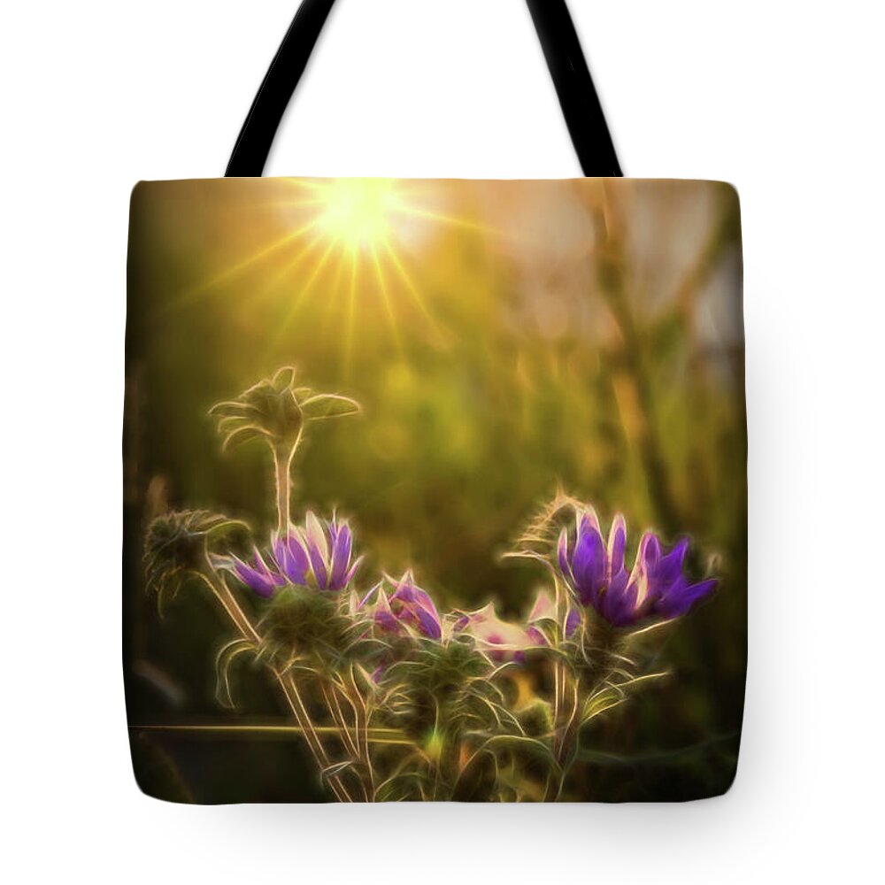 Purple Aster Tote Bag featuring the photograph Purple Aster Glow by Beth Venner