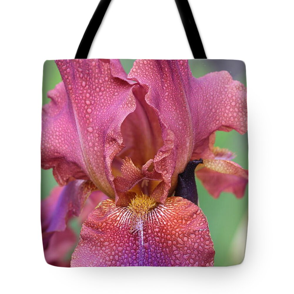 Iris Tote Bag featuring the photograph Purple beauty by James Smullins