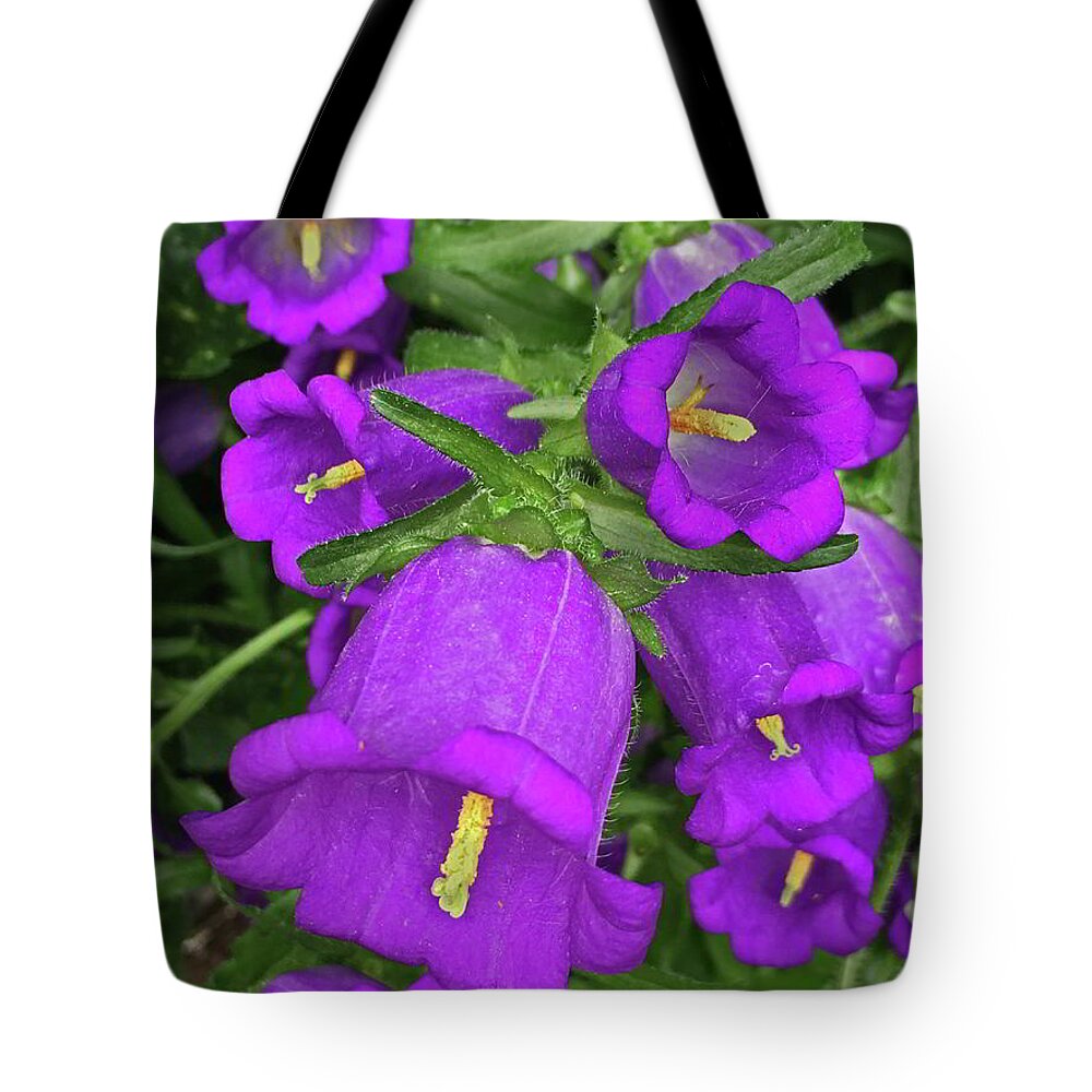 Purple Tote Bag featuring the photograph Purple Bellflowers by Kathryn Alexander MA