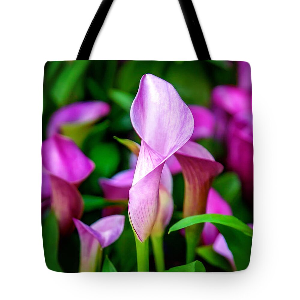 Spring Flowers Tote Bag featuring the photograph Purple Calla Lilies by Az Jackson