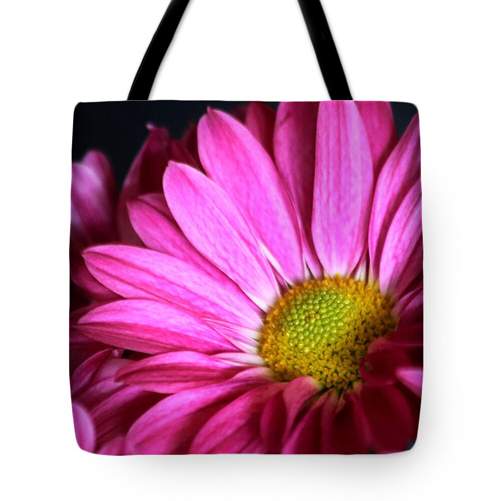 Nature Tote Bag featuring the photograph Purple Chrysanthemum Close-up by Sheila Brown