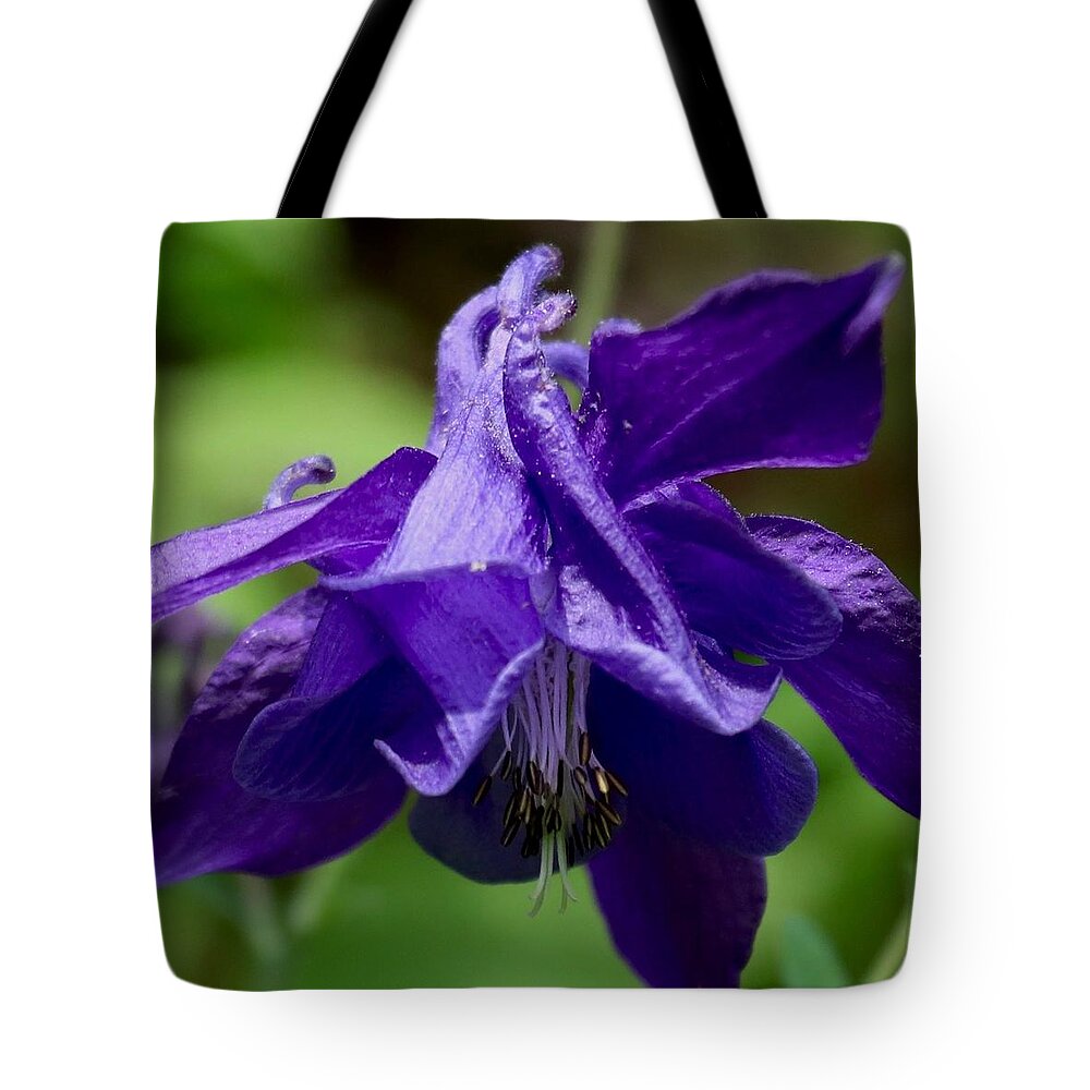 Purple Tote Bag featuring the photograph Purple Columbine by Sarah Lilja