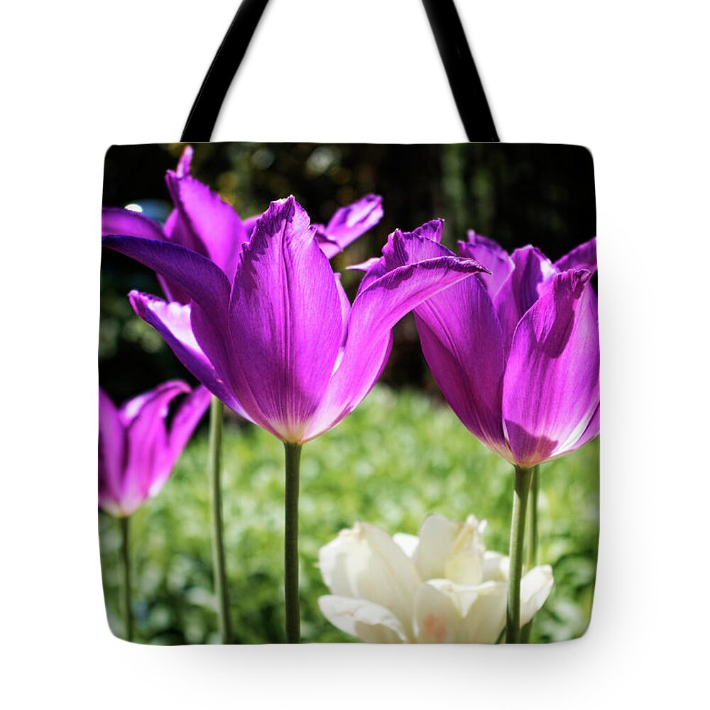 Sharon Popek Tote Bag featuring the photograph Purple Cups by Sharon Popek