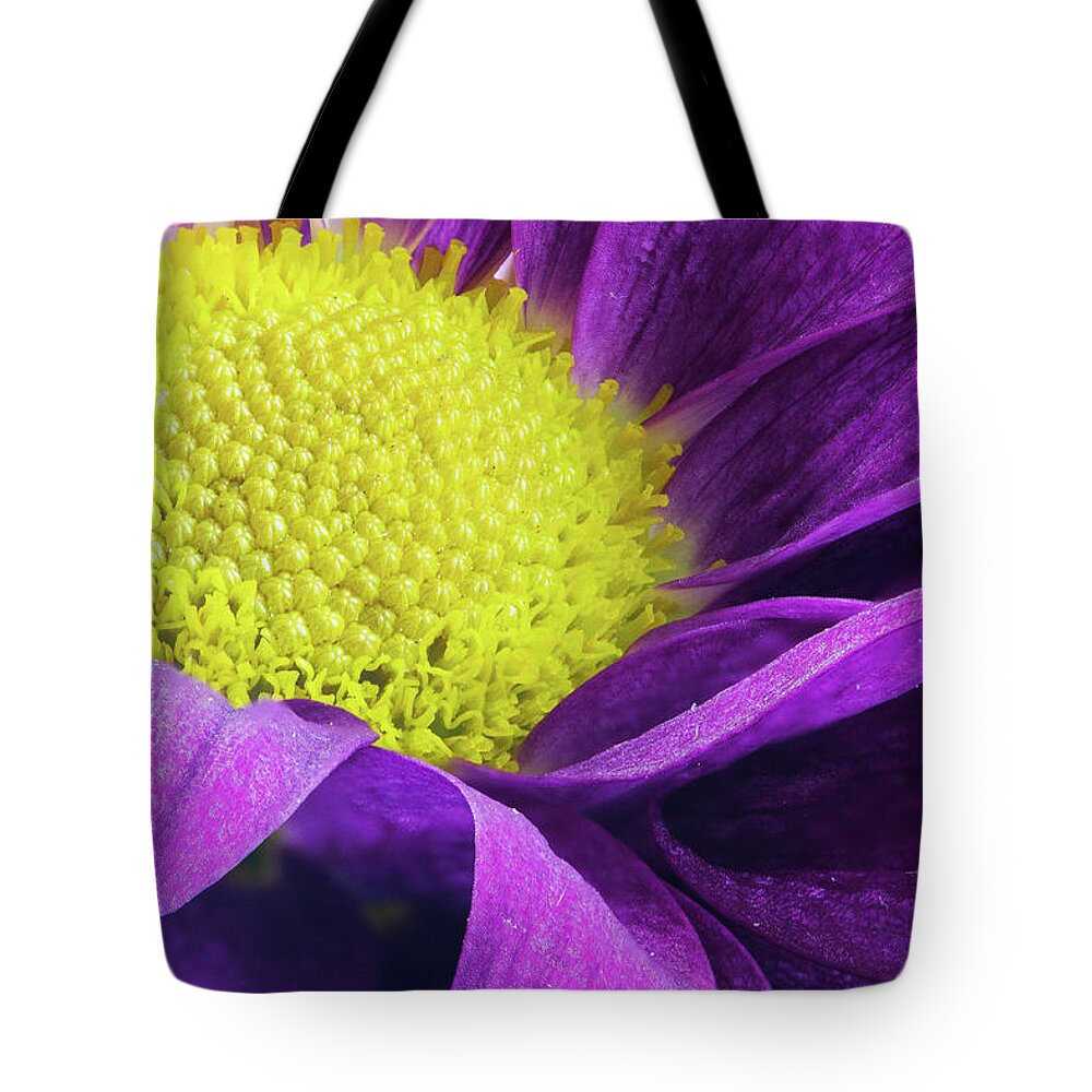 Daisy Tote Bag featuring the photograph Purple Daisy in the Garden by Tammy Ray