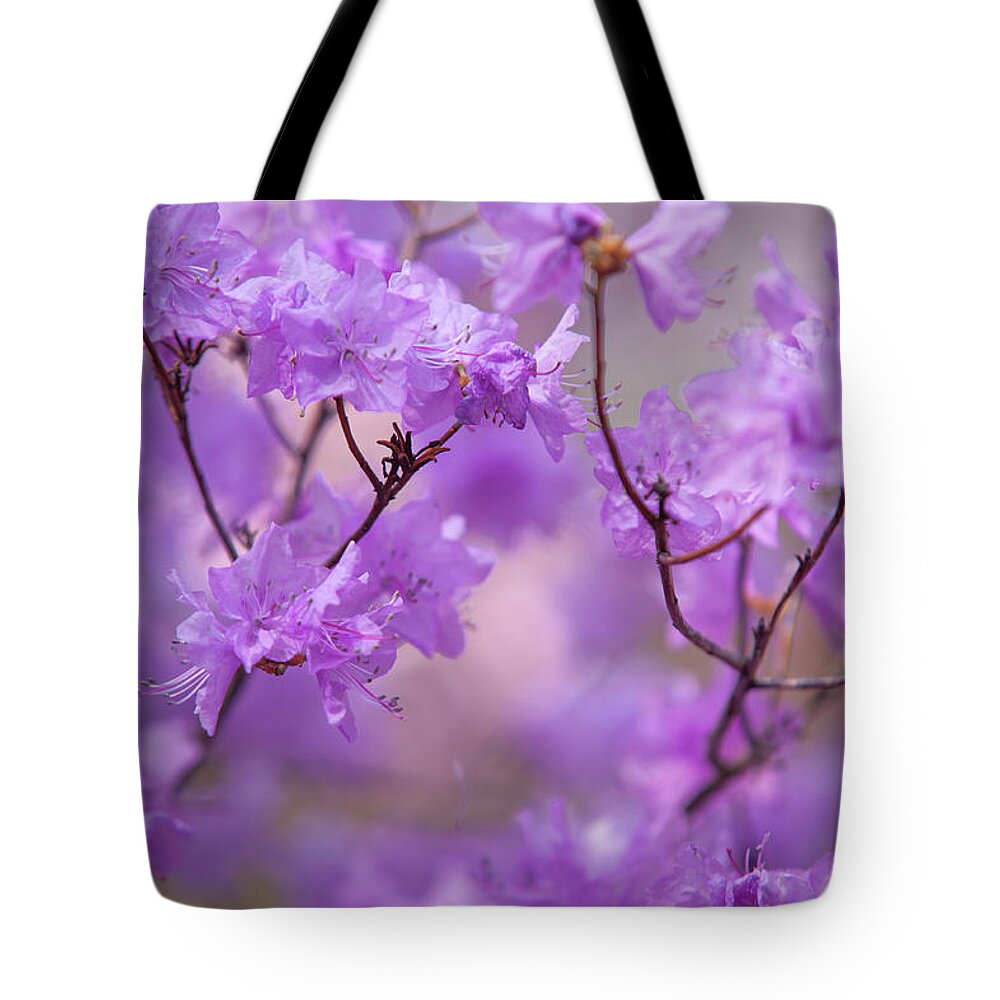 Jenny Rainbow Fine Art Photography Tote Bag featuring the photograph Purple Delight. Spring Watercolors by Jenny Rainbow