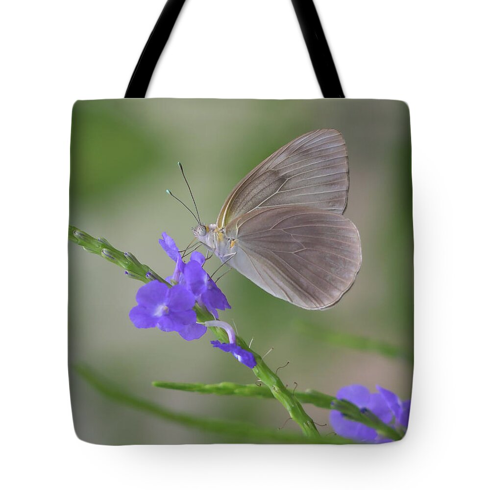 Butterfly Tote Bag featuring the photograph Purple Drink by Artful Imagery