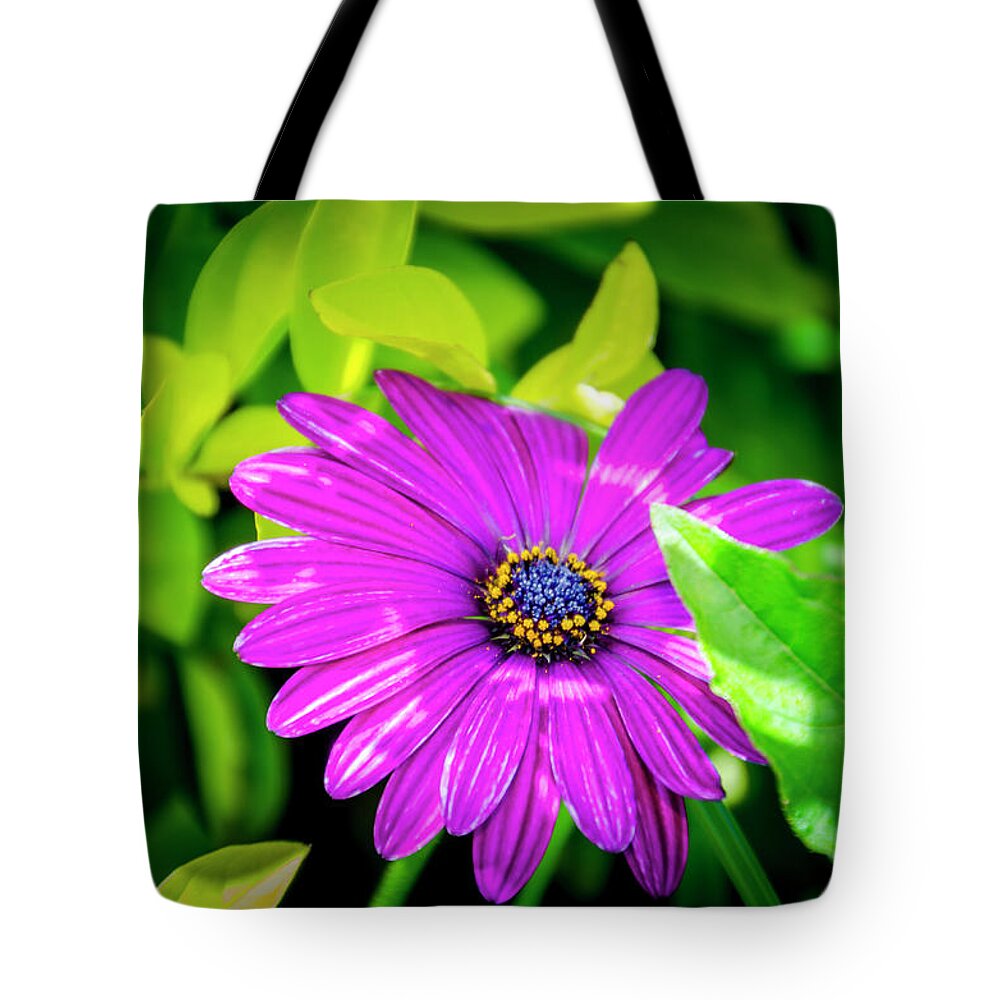 Flower Tote Bag featuring the photograph Purple Flower by Daniel Murphy