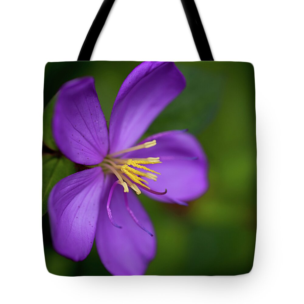 hamama Falls Tote Bag featuring the photograph Purple flower Macro by Dan McManus
