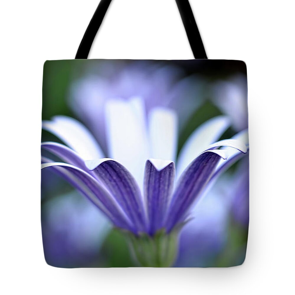 Flower Macro Tote Bag featuring the photograph Purple Flower by Wendell Ward