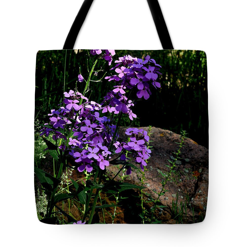 Purple Flowers Tote Bag featuring the photograph Purple Flowers by Jill Westbrook