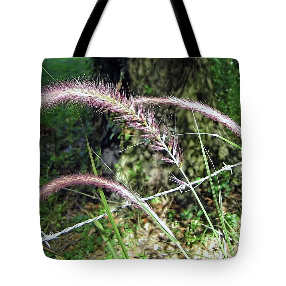 Ornamental Grass Tote Bag featuring the photograph Purple Fountain Grass by D Hackett