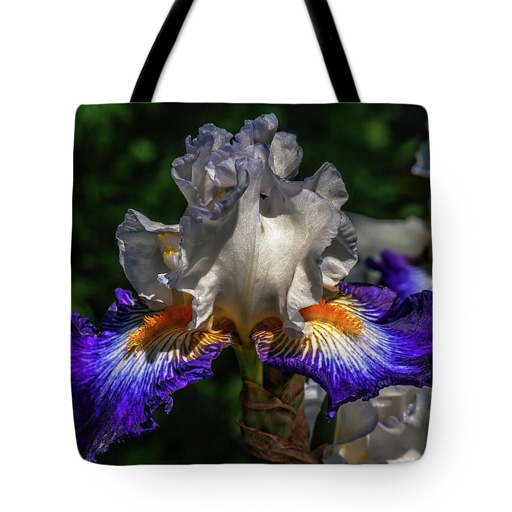 Iris Tote Bag featuring the photograph Purple Fringed White Iris by Jim Moore