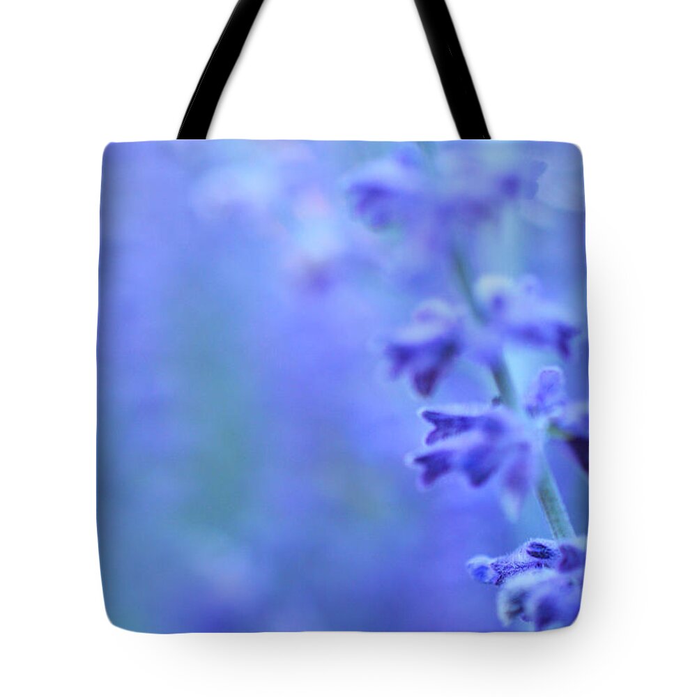 Purple Tote Bag featuring the photograph Purple Garden by Douglas MooreZart