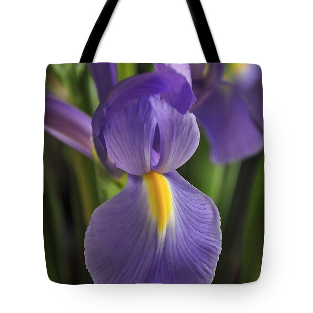 Iris Tote Bag featuring the photograph Purple Iris by Bridgette Gomes