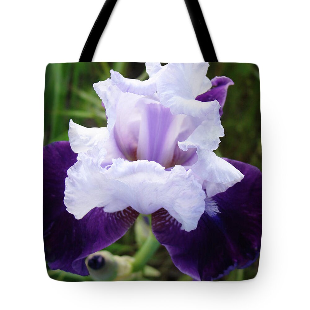 Iris Tote Bag featuring the photograph Purple IRIS FLOWER Art Prints Garden Floral Baslee Troutman by Patti Baslee