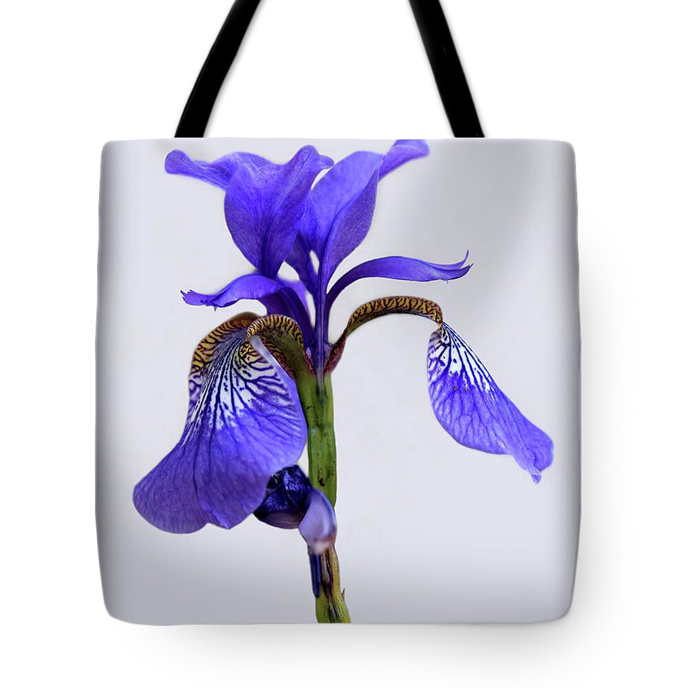 Beardless Tote Bag featuring the photograph Purple Iris on White 2016 by Karen Adams