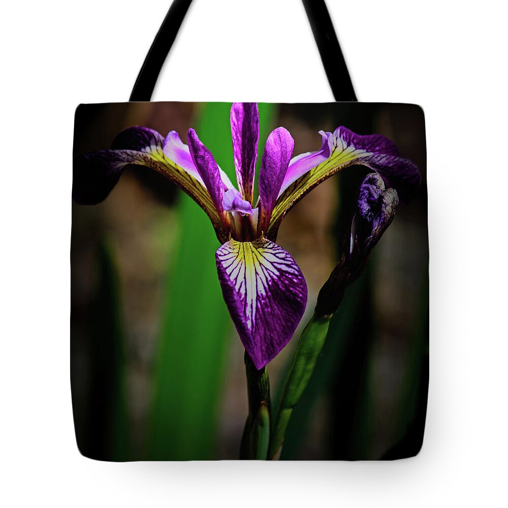 Floral Tote Bag featuring the photograph Purple Iris by Tikvah's Hope