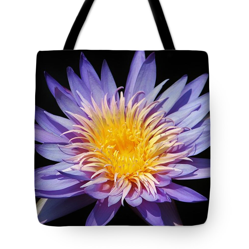 Flower Tote Bag featuring the photograph Purple Lotus by Cynthia Guinn