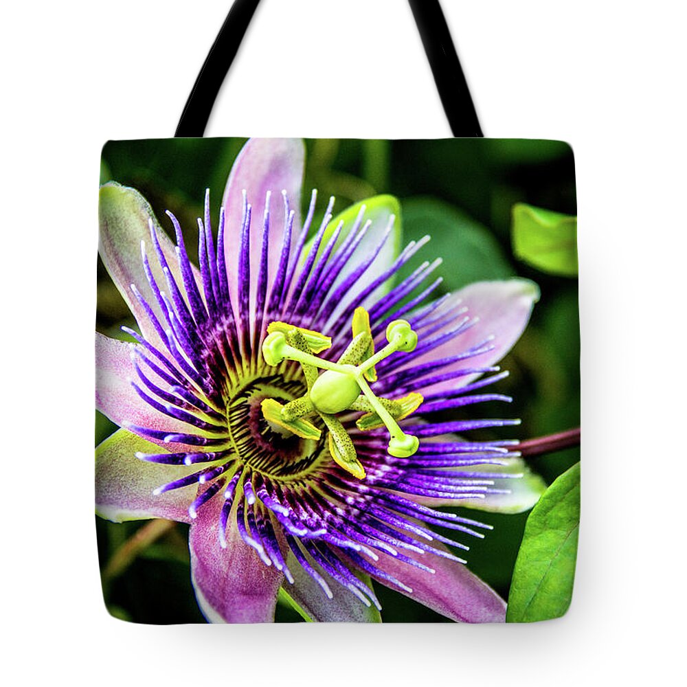 Aromatic Tote Bag featuring the photograph Purple Passion Bloom by Gregory Gendusa