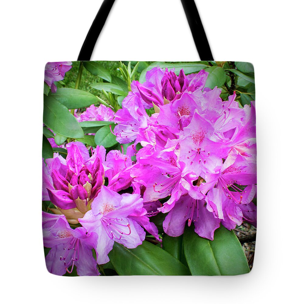 2d Tote Bag featuring the photograph Purple Rhododendron by Brian Wallace
