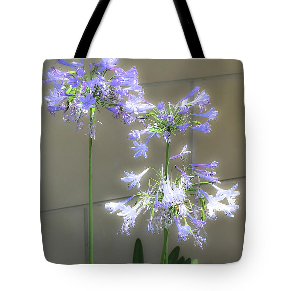 Flower Tote Bag featuring the photograph Purple Sparklers by Deborah Crew-Johnson
