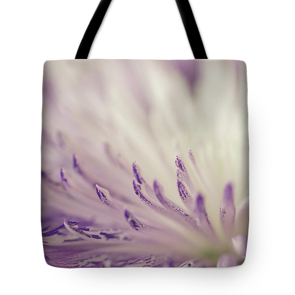 Mums Tote Bag featuring the photograph Purple Spider Mum Macro by Sandra Foster