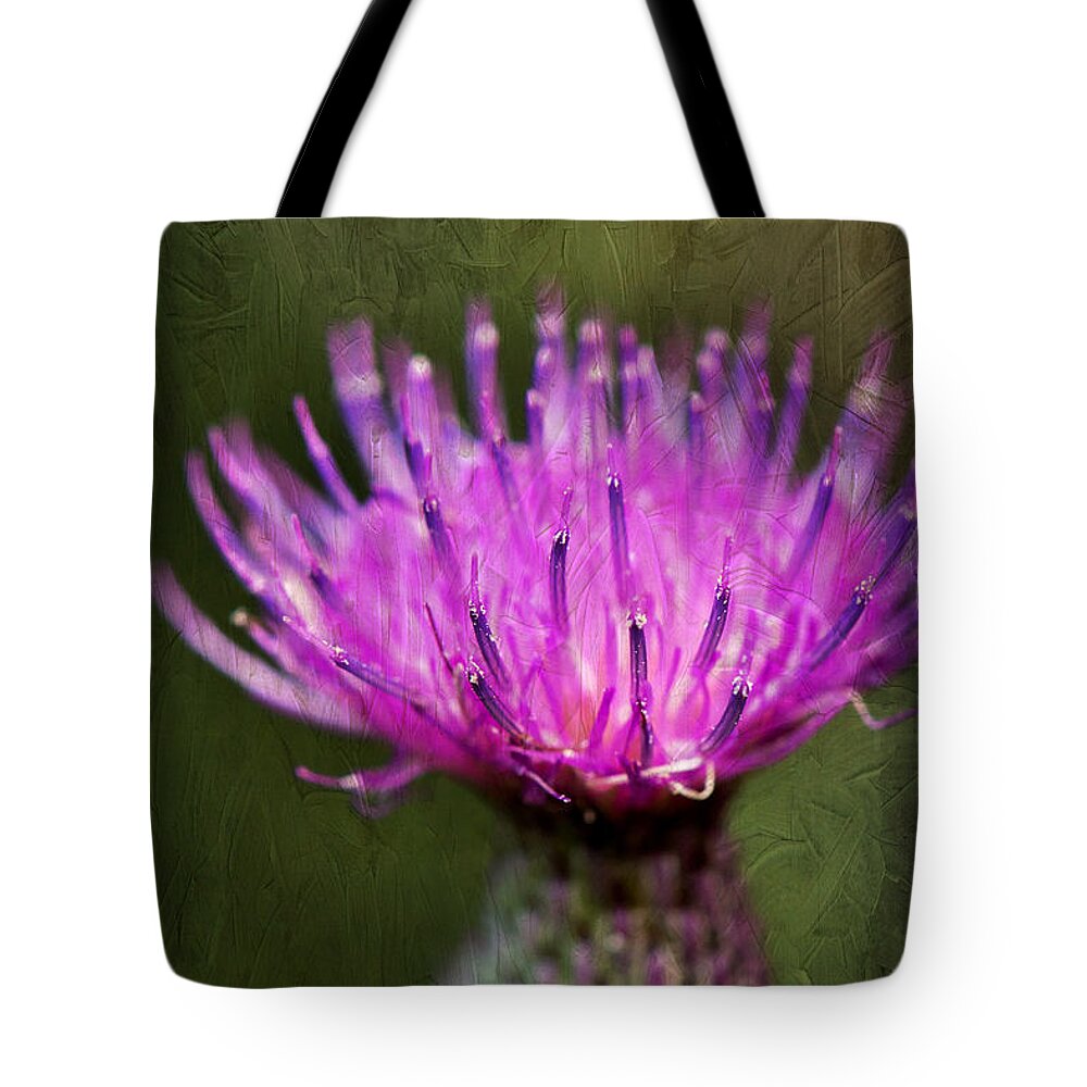 Purple Thistle Plant Print Tote Bag featuring the photograph Purple Thistle Plant Print by Gwen Gibson