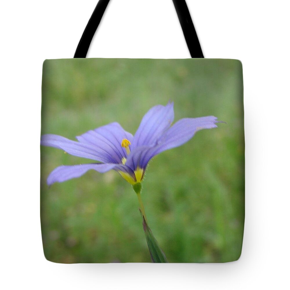 Purple Flower Tote Bag featuring the photograph Purple Wildflower by Liz Vernand