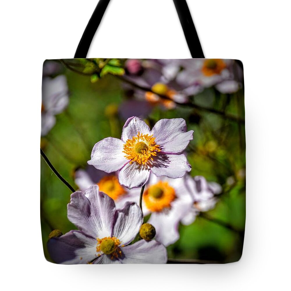 Purple Flowers Tote Bag featuring the photograph Purples by Michael Brungardt