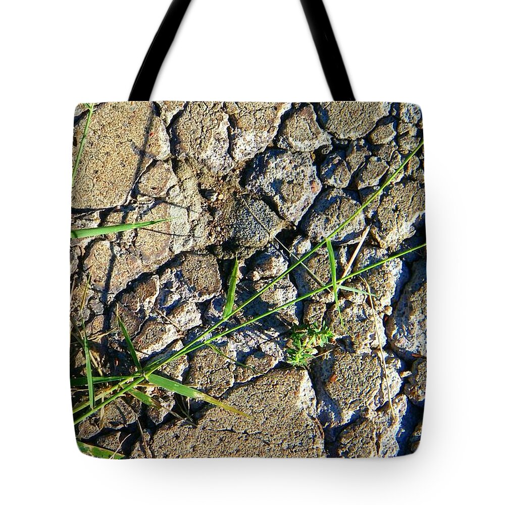 Abstract Tote Bag featuring the photograph Pushing through Concrete by Lenore Senior