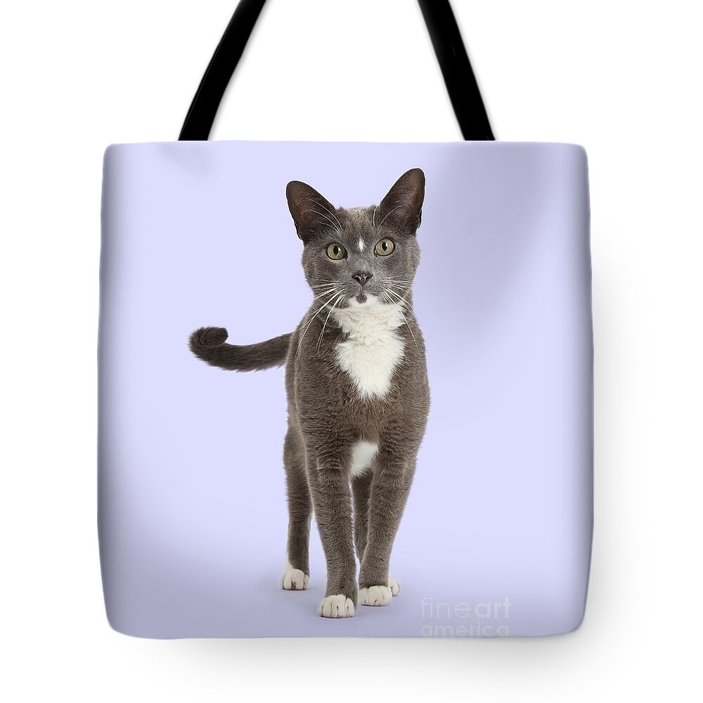 Blue Tote Bag featuring the photograph Puss is Proud by Warren Photographic