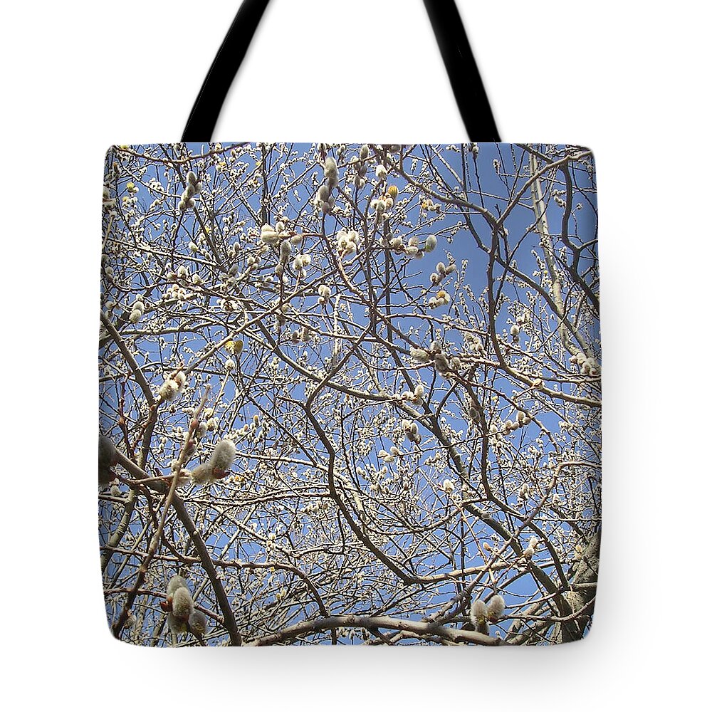 Spring Tote Bag featuring the photograph Pussywillows Bursting to Life by Roger Swezey